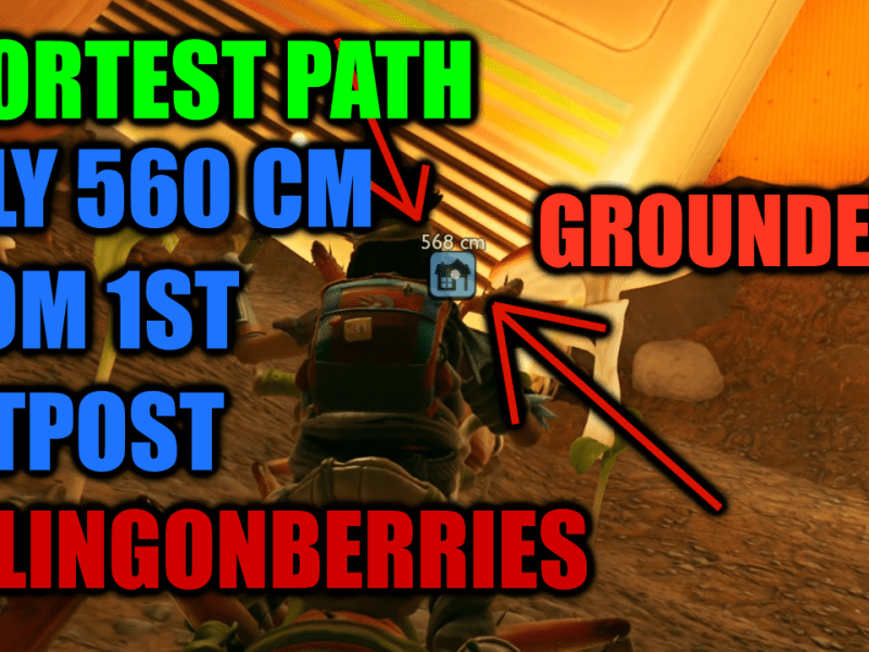 Location of Lingonberries in Grounded&nbsp;2